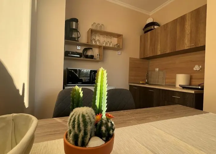 Apartment Bratanov Vip Vision Sunny Beach